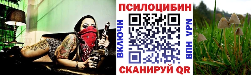 Галлюциногенные грибы мицелий  Волхов 